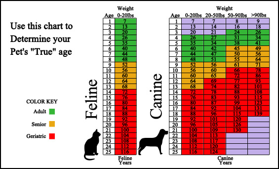 Screening Age Chart