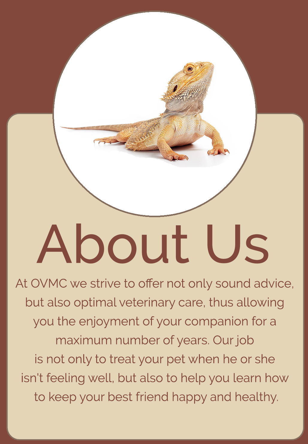 About Us Infographic Button