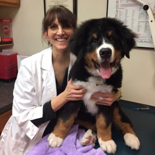 Dr. Judi Rogul with Big Puppy